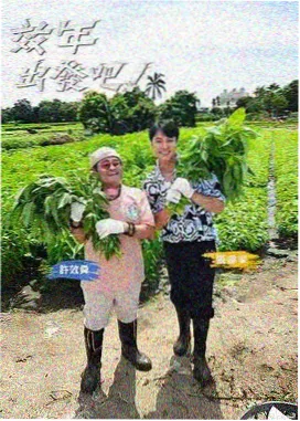 群像动画配角视角叙事补完封面图