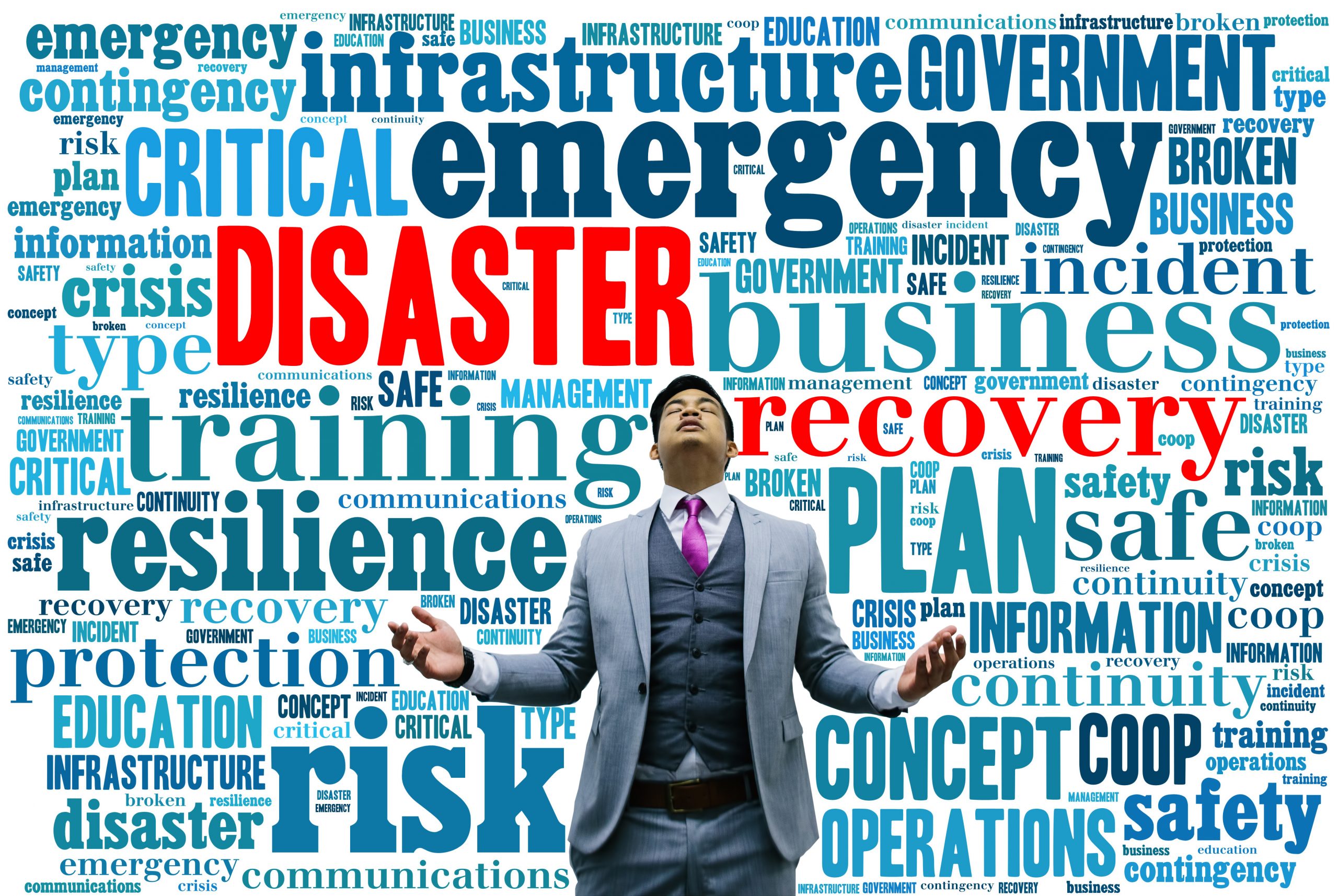 Disaster Resilience Planning