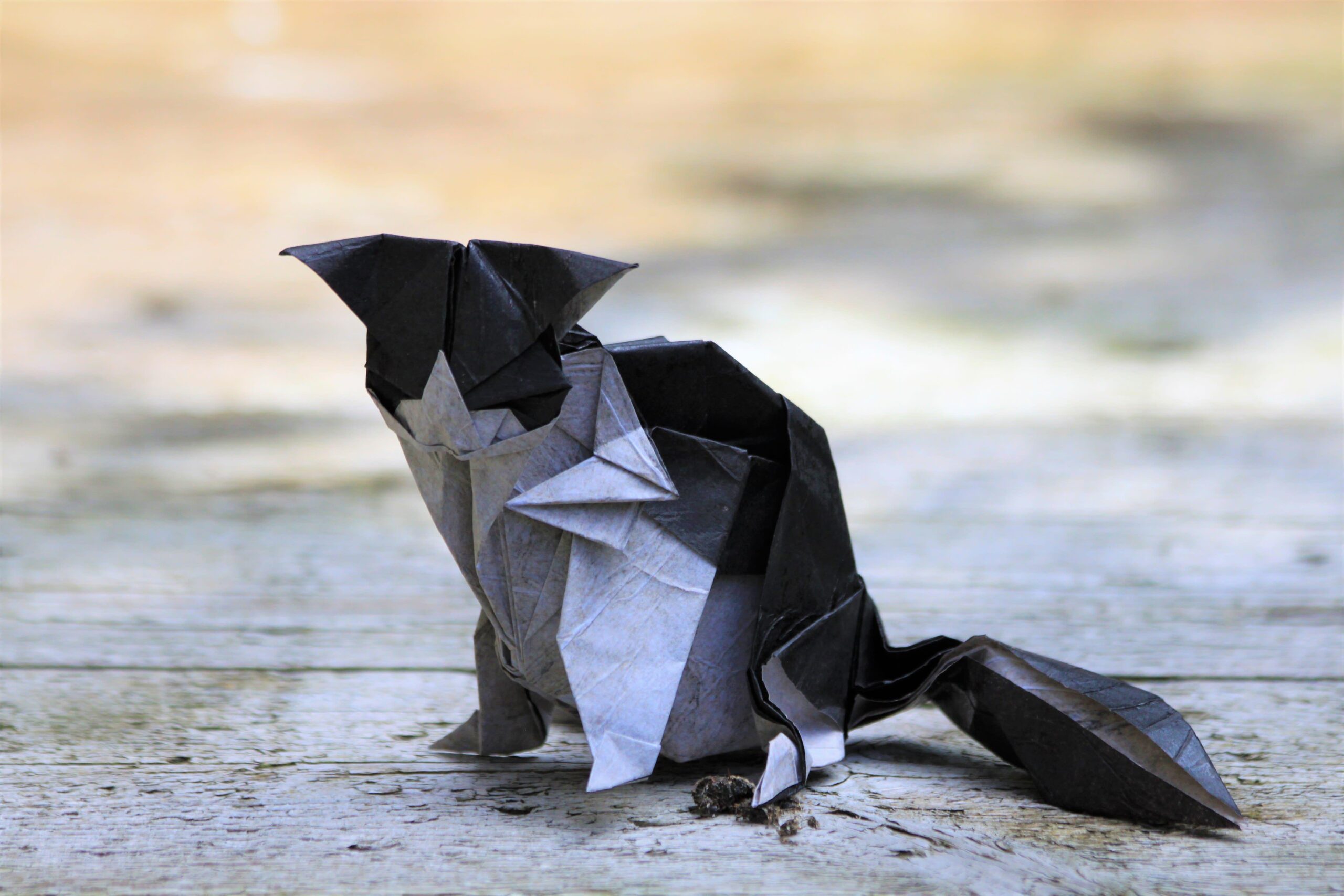 Origami Models: Unfolding the Art of Paper Folding